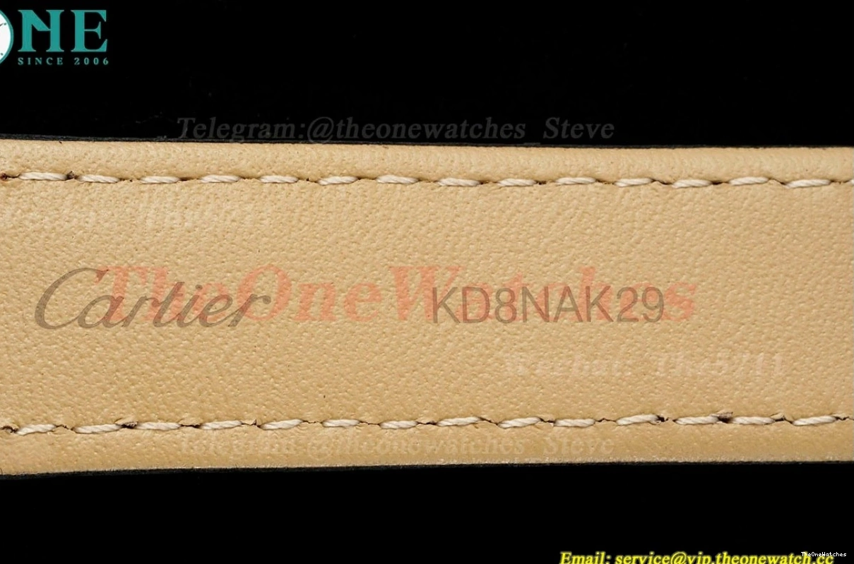 Santos RG Dumont LE Quartz AF Blk Dia Dial Silver 0228